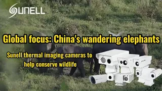Las cámaras termográficas Sunell ayudan a conservar la vida silvestre