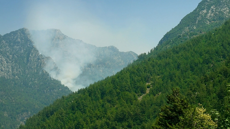 La IA mejora la predicción y prevención de incendios forestales, salvaguardando la naturaleza y asegurando vidas
